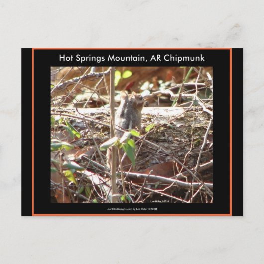 Hot Springs Mountain, Arkansas Chipmunk Geschenke Postkarte (Vorderseite)