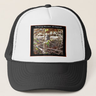 Hot Springs Mountain, Arkansas Chipmunk Geschenke Truckerkappe