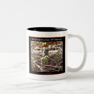 Hot Springs Mountain, Arkansas Streifenhörnchenges Zweifarbige Tasse