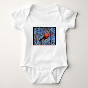 Hot Springs Mountain Promenade  Cardinal Geschenke Baby Strampler