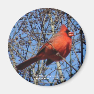 Hot Springs Mountain Promenade Cardinal Geschenke Magnet