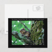 Hot Springs National Park, AR Chipmunk Snack Gesch Postkarte (Vorne/Hinten)