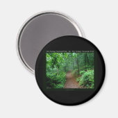 Hot Springs National Park, AR Fading Fog Geschenke Magnet (Vorderseite/Rückseite)