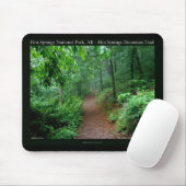 Hot Springs National Park, AR Fading Fog Geschenke Mousepad (Mit Mouse)