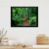 Hot Springs National Park, AR Fading Fog Poster (Küche)