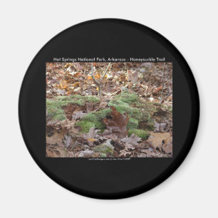 Hot Springs National Park, AR - Jelängerjelieber-W Magnet