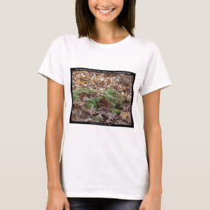 Hot Springs National Park, AR - Jelängerjelieber-W T-Shirt