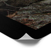 Hot Springs National Park, AR - Silent Mist Poster (Ecke)