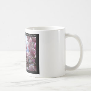 Hot Springs National Park AR Teller Magnolien Gesc Kaffeetasse