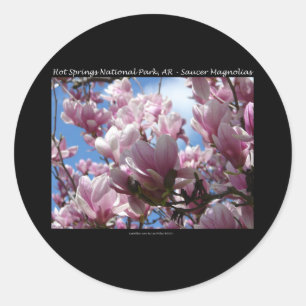 Hot Springs National Park AR Teller Magnolien Gesc Runder Aufkleber