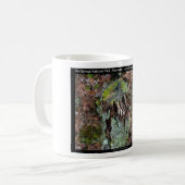 Hot Springs National Park, AR Upper Dogwood Loop Kaffeetasse (Vorderseite Links)