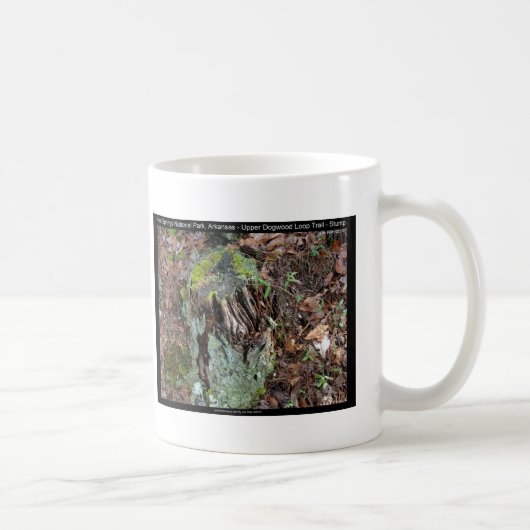 Hot Springs National Park, AR Upper Dogwood Loop Kaffeetasse (Rechts)
