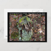 Hot Springs National Park, AR Upper Dogwood Loop Postkarte (Vorne/Hinten)