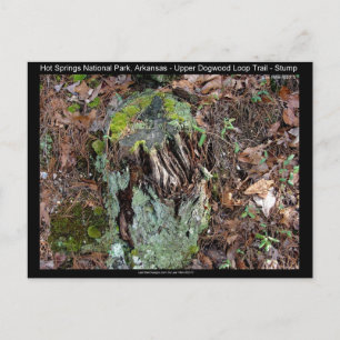 Hot Springs National Park, AR Upper Dogwood Loop Postkarte