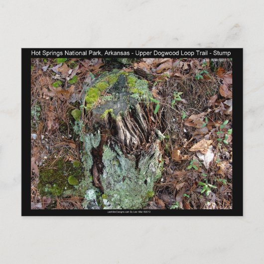 Hot Springs National Park, AR Upper Dogwood Loop Postkarte (Vorderseite)