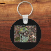 Hot Springs National Park, AR Upper Dogwood Loop Schlüsselanhänger (Vorderseite)