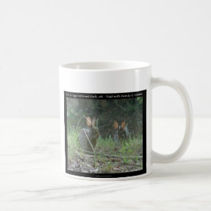 Hot Springs National Park, AR Wild Rabbits Gesche Kaffeetasse