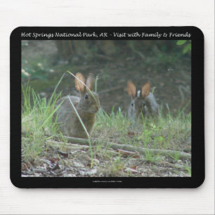Hot Springs National Park, AR  Wild Rabbits Gesche Mousepad