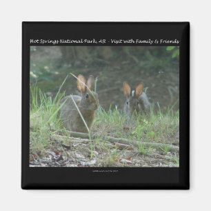 Hot Springs National Park, AR Wild Rabbits Geschen Magnet