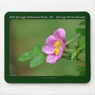 Hot Springs National Park, AR Wild Rose Geschenke Mousepad