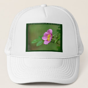 Hot Springs National Park, AR  Wild Rose Geschenke Truckerkappe