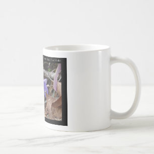 Hot Springs National Park, AR Wilde Veilchen Gesch Kaffeetasse