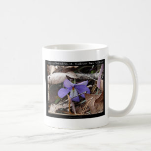 Hot Springs National Park, AR Wilde Veilchen Gesch Kaffeetasse