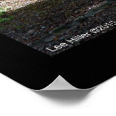 Hot Springs National Park Dead Chief Trail Poster (Ecke)