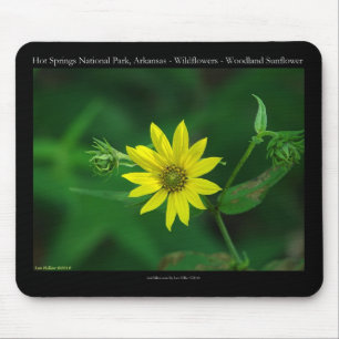 Hot Springs National Park Wald-Sonnenblumen-Gesche Mousepad