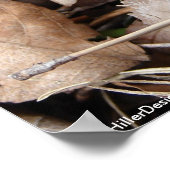 Hot Springs National Park Wildblume by Lee Hiller Poster (Ecke)