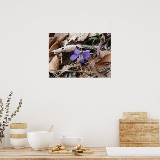 Hot Springs National Park Wildblume by Lee Hiller Poster (Küche)