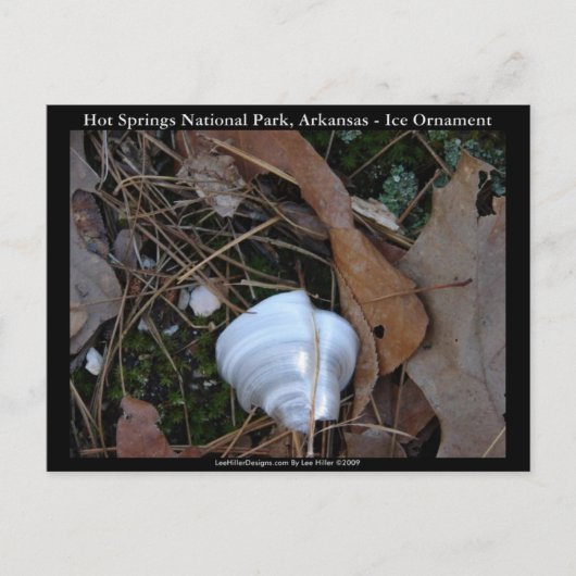Hot Springs Nationalpark, AR - Eisschmuck - Gesche Postkarte (Vorderseite)