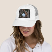 Hot Springs Nationalpark, AR - Eisschmuck - Gesche Truckerkappe (Beispiel)