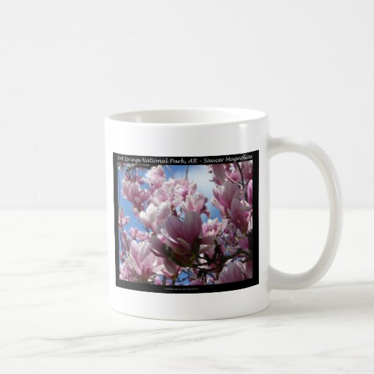 Hot Springs Nationalpark AR Saucer Magnoia - Gesch Kaffeetasse (Rechts)