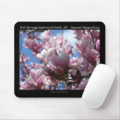 Hot Springs Nationalpark AR Saucer Magnoia - Gesch Mousepad (Mit Mouse)