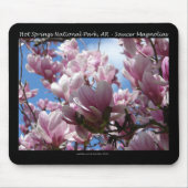 Hot Springs Nationalpark AR Saucer Magnoia - Gesch Mousepad (Vorne)