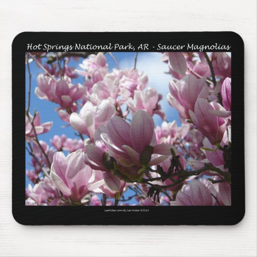 Hot Springs Nationalpark AR Saucer Magnoia - Gesch Mousepad (Vorne)