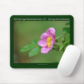 Hot Springs Nationalpark, AR Wild Rose Geschenke Mousepad (Mit Mouse)