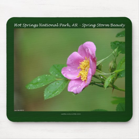 Hot Springs Nationalpark, AR Wild Rose Geschenke Mousepad (Vorne)