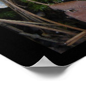 Hot Springs Nationalpark, Arkansas - Eisschmuck Poster (Ecke)