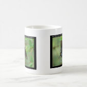 Hot Springs Nationalpark Frack Butterfly Kaffeetasse (Mittel)