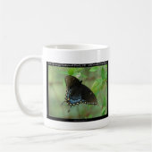 Hot Springs Nationalpark Frack Butterfly Kaffeetasse (Links)