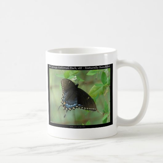 Hot Springs Nationalpark Frack Butterfly Kaffeetasse (Rechts)