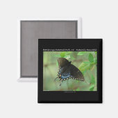 Hot Springs Nationalpark Frack Butterfly Magnet (Vorderseite/Rückseite)