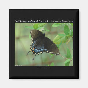 Hot Springs Nationalpark Frack Butterfly Magnet