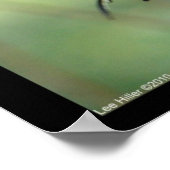 Hot Springs Nationalpark Frack Butterfly Poster (Ecke)