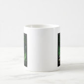 Hot Springs Nationalpark Tote Haupttracht Geschenk Kaffeetasse (Mittel)