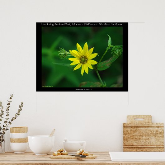 Hot Springs Nationalpark Waldland Sonnenblumen Poster (Küche)
