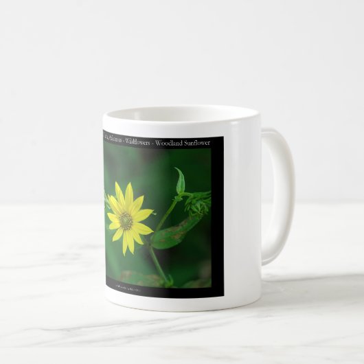 Hot Springs Nationalpark Waldland Sonnenblumengesc Kaffeetasse (VorderseiteRechts)