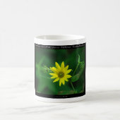 Hot Springs Nationalpark Waldland Sonnenblumengesc Kaffeetasse (Mittel)
